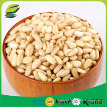 hot sale white pine nuts in bulk with cheap price